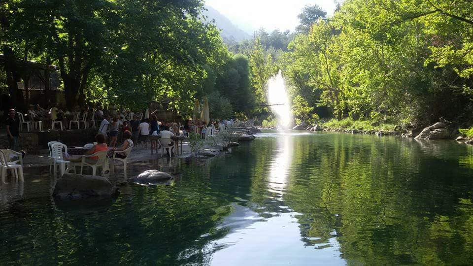 Dibek Vadi Alabalık Tesisi